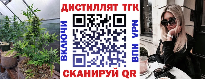 где продают наркотики  Чегем  ТГК гашишное масло 