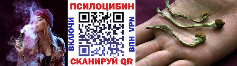 Псилоцибиновые грибы Cubensis  Чегем 